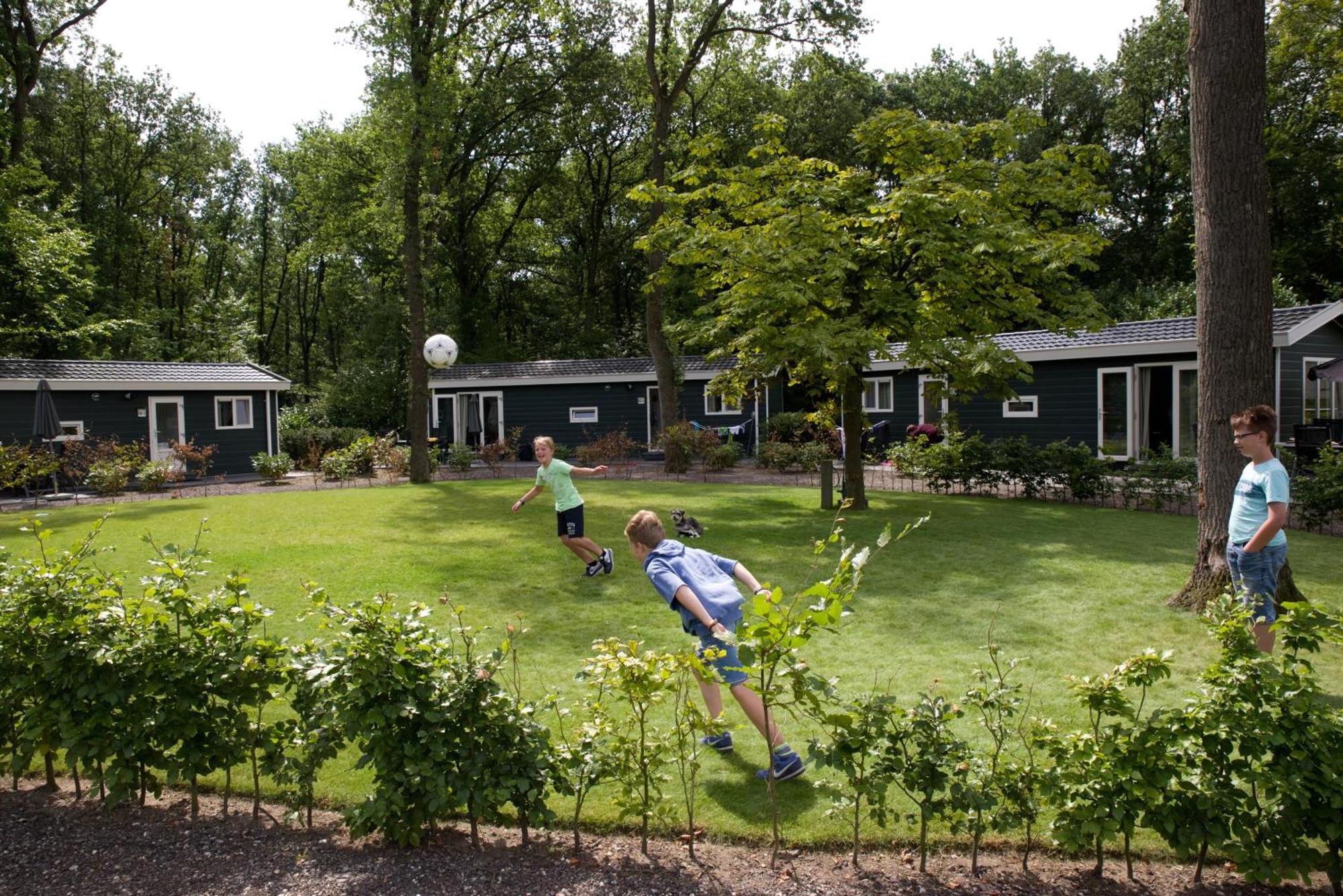 Vakantiepark Bonte Vlucht Doorn Dış mekan fotoğraf